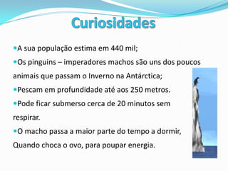 Bilhete de IdentidadeNome: Pinguim – ImperadorNome Científico: Aptenodytes forsteriFilo: ChordataReino: Animalia Classe: avesReprodução: ovípora Estado de Conservação: pouco preocupante