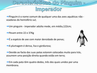 Características do Pinguim - ImperadorPinguim é o nome comum de qualquer uma das aves aquáticas não - voadoras do hemisfério sul;Um pinguim - imperador adulto mede, em média,122cm;Pesam entre 22 e 37KgÉ a espécie de ave com maior densidade de penas;A plumagem é densa, lisa e gordurosa;Devido ao facto das suas patas estarem colocadas muito para trás, assumem uma posição direita quando estão em terra;Em cada pata têm quatro dedos, três dos quais unidos por uma membrana.
