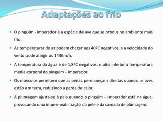 HabitatO Pinguim – Imperador encontra-se na Antárctica.As colónias reprodutoras estão normalmente, localizadas em áreas onde ravinas de gelo ou icebergs os protegem do vento.