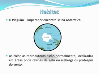 AlimentaçãoPeixes Crustáceos Moluscos O pinguim – imperador procura as suas presas, principalmente, no Oceano Antárctico, em zonas sem gelo