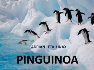 PINGUINOA
ADRIAN ETA UNAX
 