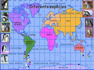 Diferents espèciesDiferents espècies
 