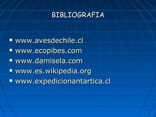 BIBLIOGRAFIABIBLIOGRAFIA
 www.avesdechile.clwww.avesdechile.cl
 www.ecopibes.comwww.ecopibes.com
 www.damisela.comwww.damisela.com
 www.es.wikipedia.orgwww.es.wikipedia.org
 www.expedicionantartica.clwww.expedicionantartica.cl
 