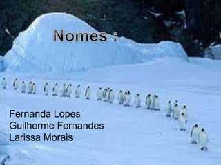 Fernanda Lopes
Guilherme Fernandes
Larissa Morais
 