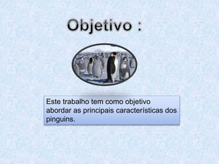 Este trabalho tem como objetivo
abordar as principais características dos
pinguins.
 