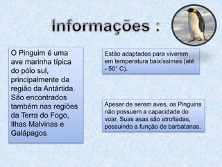 O Pinguim é uma
ave marinha típica
do pólo sul,
principalmente da
região da Antártida.
São encontrados
também nas regiões
da Terra do Fogo,
Ilhas Malvinas e
Galápagos.
Estão adaptados para viverem
em temperatura baixíssimas (até
- 50° C).
Apesar de serem aves, os Pinguins
não possuem a capacidade do
voar. Suas asas são atrofiadas,
possuindo a função de barbatanas.
 