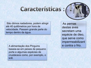 São ótimos nadadores, podem atingir
até 40 quilômetros por hora de
velocidade. Passam grande parte do
tempo dentro da água.
As pernas
destas aves
secretam uma
espécie de óleo,
que serve como
impermeabilizant
e contra o frio.A alimentação dos Pinguins
baseia-se em peixes de pequeno
porte e algumas espécies de
crustáceos como, por exemplo, o
krill.
 