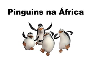 Pinguins na África
 