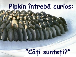 Pipkin întrebă curios:
”Câţi sunteţi?”
 