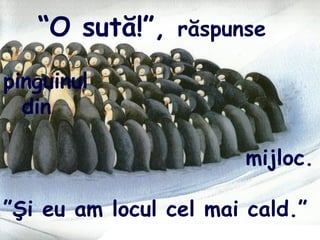“O sută!”, răspunse
pinguinul
din
mijloc.
”Şi eu am locul cel mai cald.”
 