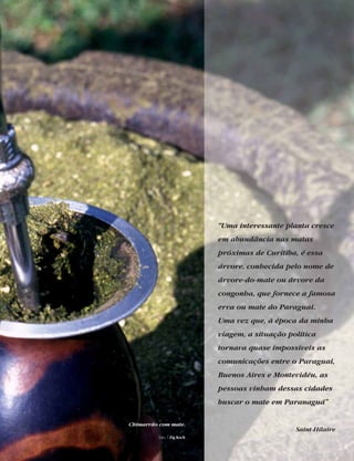 “Uma interessante planta cresce
em abundância nas matas
próximas de Curitiba, é essa
árvore, conhecida pelo nome de
árvore-do-mate ou árvore da
congonha, que fornece a famosa
erva ou mate do Paraguai.
Uma vez que, à época da minha
viagem, a situação política
tornava quase impossíveis as
comunicações entre o Paraguai,
Buenos Aires e Montevidéu, as
pessoas vinham dessas cidades
buscar o mate em Paranaguá”
Saint-Hilaire
Chimarrão com mate.
foto | Zig Koch
 