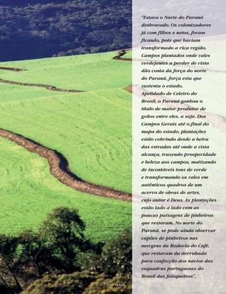 “Estava o Norte do Paraná
desbravado. Os colonizadores
já com filhos e netos, foram
ficando, pois que haviam
transformado a rica região.
Campos plantados onde vales
verdejantes a perder de vista
dão conta da força do norte
do Paraná, força esta que
sustenta o estado.
Apelidado de Celeiro do
Brasil, o Paraná ganhou o
título de maior produtor de
grãos entre eles, a soja. Dos
Campos Gerais até o final do
mapa do estado, plantações
estão cobrindo desde a beira
das estradas até onde a vista
alcança, trazendo prosperidade
e beleza aos campos, matizando
de incontáveis tons de verde
e transformando os vales em
autênticos quadros de um
acervo de obras de artes,
cujo autor é Deus. As plantações
estão lado a lado com as
poucas paisagens de pinheiros
que restaram. No norte do
Paraná, se pode ainda observar
capões de pinheiros nas
margens da Rodovia do Café,
que restaram da derrubada
para confecção dos navios das
esquadras portuguesas do
Brasil das faisqueiras”.
foto | Zig Koch
 