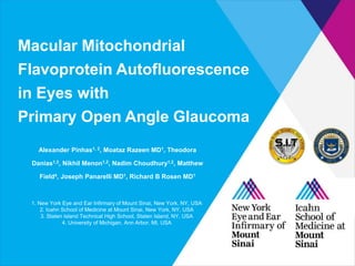 Macular Mitochondrial
Flavoprotein Autofluorescence
in Eyes with
Primary Open Angle Glaucoma
Alexander Pinhas1, 2, Moataz Razeen MD1, Theodora
Danias1,3, Nikhil Menon1,2, Nadim Choudhury1,2, Matthew
Field4, Joseph Panarelli MD1, Richard B Rosen MD1
1. New York Eye and Ear Infirmary of Mount Sinai, New York, NY, USA
2. Icahn School of Medicine at Mount Sinai, New York, NY, USA
3. Staten Island Technical High School, Staten Island, NY, USA
4. University of Michigan, Ann Arbor, MI, USA
 
