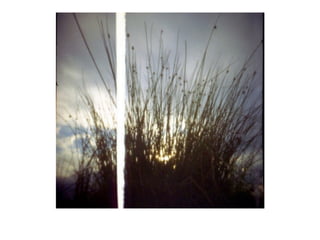 Pinhole photography vale