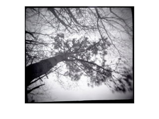 Pinhole photography vale