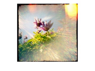 Pinhole photography vale