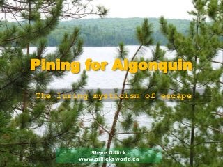 The luring mysticism of escape
Pining for Algonquin
Steve Gillick
www.gillicksworld.ca
 