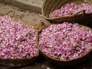 Pietro Izzo - Flickr 
 