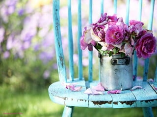 barbara carroll - Flickr 
 