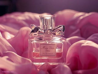 Natália Viana - Flickr 
 