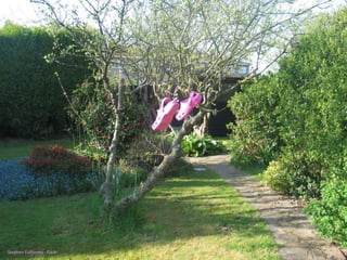 Stephen Fulljames - Flickr 
 