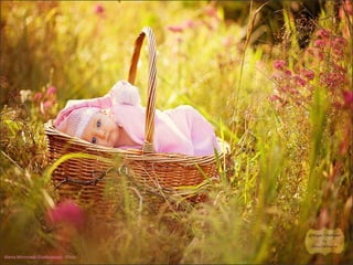 Alena Mironova (Gorbunova) - Flickr 
 