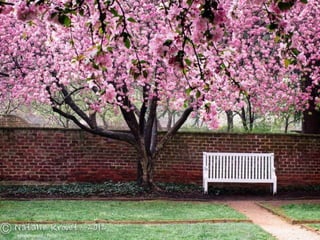 nataliekrovetz - Flickr 
 