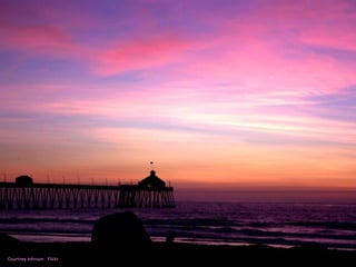 Courtney Johnson - Flickr 
 