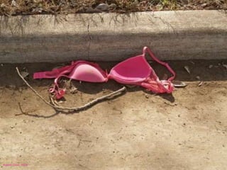 Robert Cook - Flickr 
 