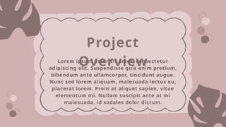 Project
Overview
Lorem ipsum dolor sit amet, consectetur
adipiscing elit. Suspendisse quis enim pretium,
bibendum ante ullamcorper, tincidunt augue.
Nunc sed lorem aliquam, malesuada lectus eu,
placerat lorem. Proin at aliquet sapien, vitae
elementum mi. Nullam suscipit ante at mi
malesuada, id sodales dolor dictum.
 