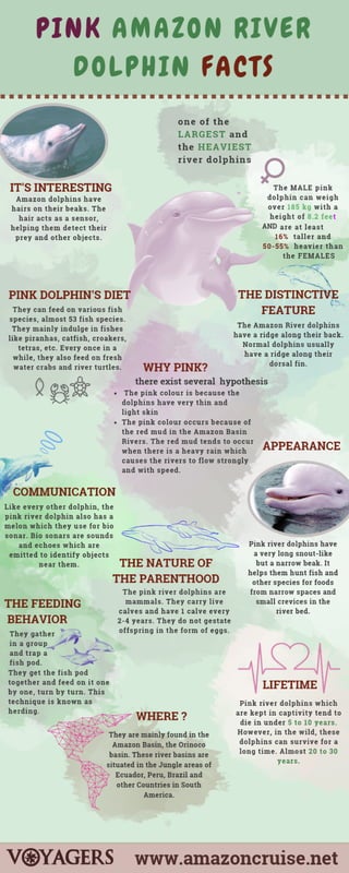 Pink amazon river dolphin facts