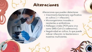 Alteraciones
Alteraciones que pueden detectarse:
Crecimiento bacteriano significativo
en cultivo (-> infección).
Microorganismos inusuales o
resistentes a antibióticos.
Hallazgos virales (PCR para virus
como SARS-CoV-2 o adenovirus).
Negatividad en cultivo, lo que puede
indicar infección no bacteriana o
muestras insuficientes.
 
