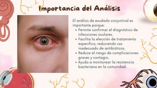 Importancia del Análisis
El análisis de exudado conjuntival es
importante porque:
Permite confirmar el diagnóstico de
infecciones oculares.
Facilita la elección de tratamiento
específico, reduciendo uso
inadecuado de antibióticos.
Reduce el riesgo de complicaciones
graves y contagio.
Ayuda a monitorear la resistencia
bacteriana en la comunidad.
 