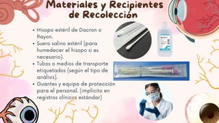 Hisopo estéril de Dacron o
Rayon.
Suero salino estéril (para
humedecer el hisopo si es
necesario).
Tubos o medios de transporte
etiquetados (según el tipo de
análisis).
Guantes y equipo de protección
para el personal. (implícito en
registros clínicos estándar)
Materiales y Recipientes
de Recolección
 