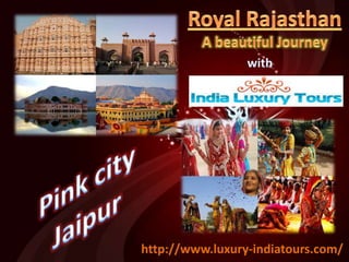 http://www.luxury-indiatours.com/
 