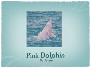 Pink Dolphin
    By Jessie
 