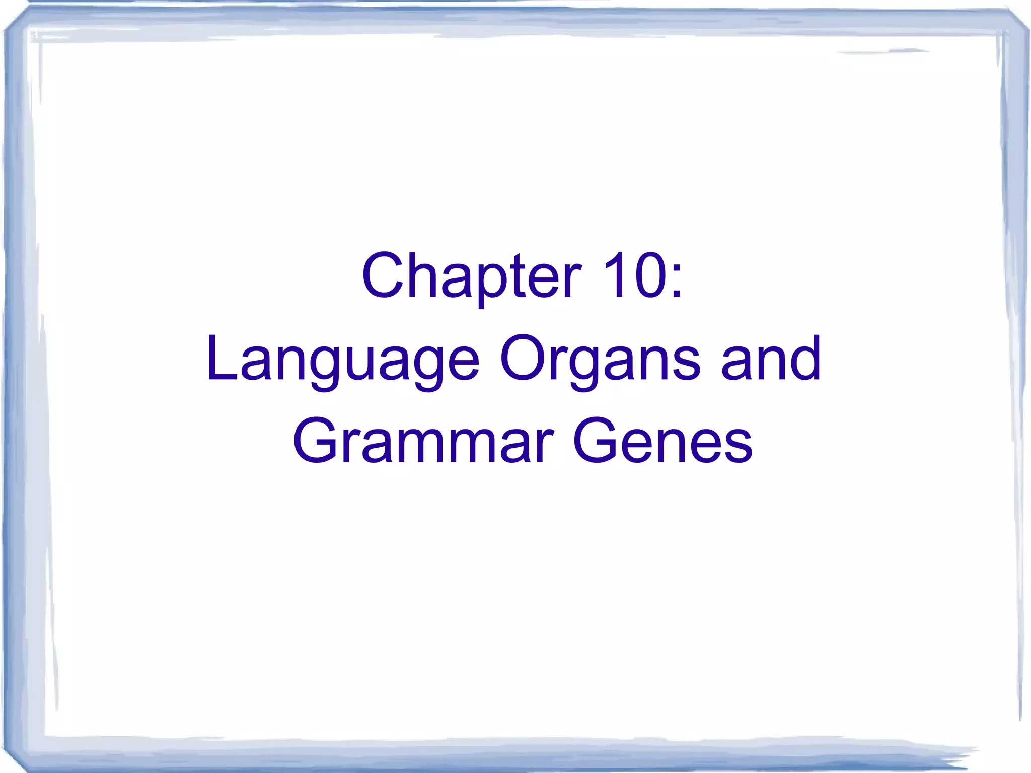 Chapter 10: Language Organs and  Grammar Genes 