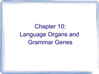 Chapter 10: Language Organs and  Grammar Genes 