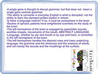 A single gene is thought to disrupt grammar, but that does not  mean a single gene controls grammar. The ability to converse in everyday English is what is disrupted, not the ability to learn the standard written dialect in school. Is there a language instinct? If so, it must be somewhere in the brain Studies of aphasic patients have enlightened scientists on the study of the brain. The left hemisphere of the brain is engaged by speechlike sounds, wordlike shapes, movements of the mouth, ABSTRACT LANGUAGE. Language, whether by ear and mouth or by eye and hand, is controlled in the left hemisphere of the brain. The left hemisphere handles the abstract rules and trees underlying language, the grammar and the dictionary and the anatomy of words, and not merely the sounds and the mouthings at the surface. 