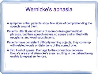 Wernicke’s aphasia A symptom is that patients show few signs of comprehending the speech around them.  Patients utter fluent streams of more-or-less grammatical phrases, but their speech makes no sense and is filled with neoglisms and word substitutions. Patients have consistent difficulty naming objects; they come up with related words or distortions of the correct one. A third kind of apasia: Damage to the connection between Broca’a area and Wernicke’s area resulting in the patient being unable to repeat sentences. 