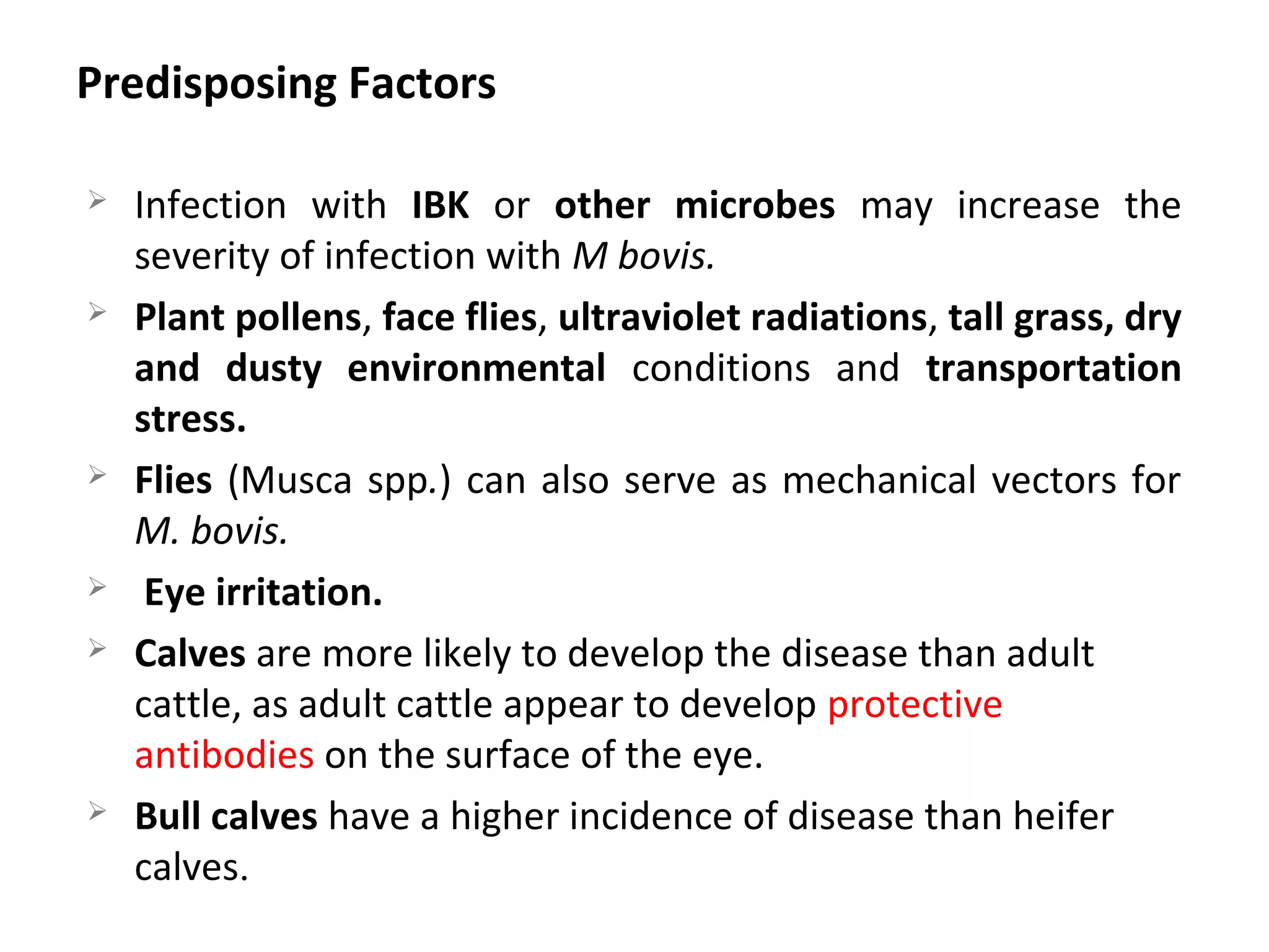 Pink eye or Infectious bovine keratoconjunctivitis | PPT