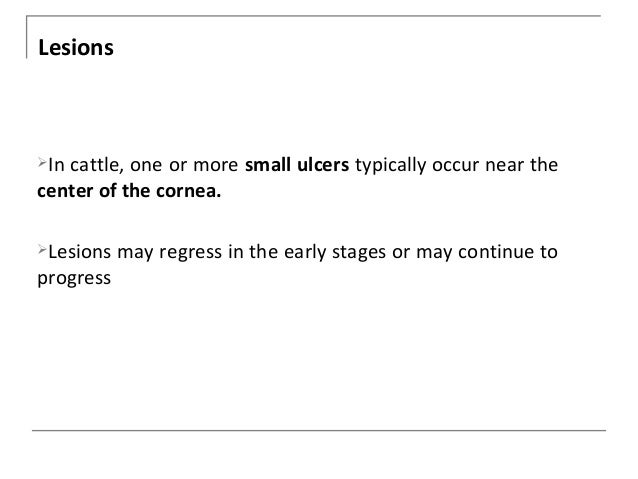 Pink eye or Infectious bovine keratoconjunctivitis