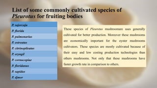 Biochemical Analysis of Pleurotus spp | PDF