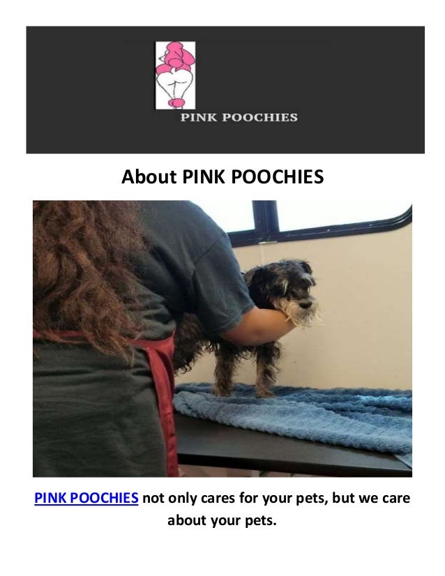 PINK POOCHIES Dog Groomers in Pearland, TX