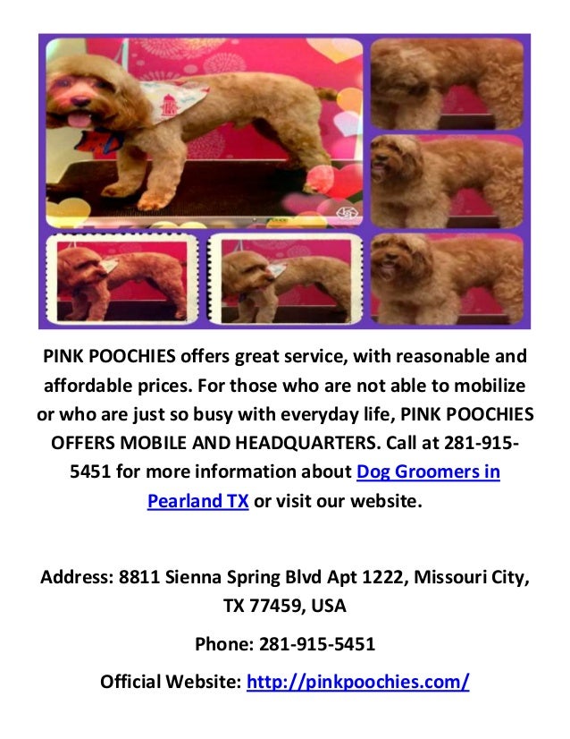 PINK POOCHIES Dog Groomers in Pearland, TX