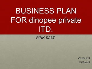 BUSINESS PLAN
FOR dinopee private
lTD.
PINK SALT
-SHIV N S
CYGNUS
 