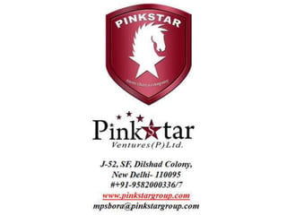 Pinkstar group credentials 2013 ppt