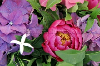 Pink Wedding Flowers by Top London Florists