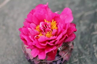 Pink Wedding Flowers by Top London Florists