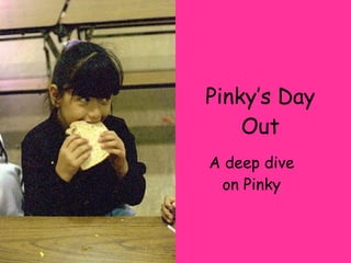 Pinky’s Day Out A deep dive on Pinky 